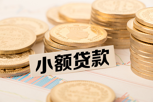苏州上门小额贷款当天放款-苏州上门哪里可以信用贷款-苏州上门民间借贷